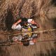 Camel Trophy Selection (3)